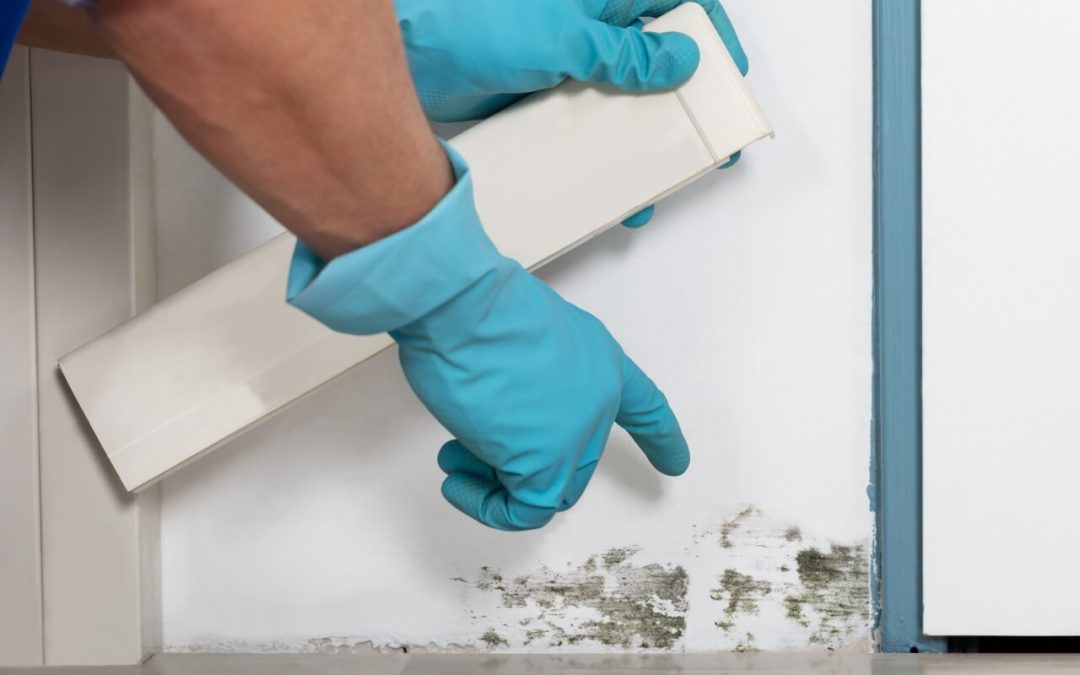 5 Signs of Moisture Problems in the Home