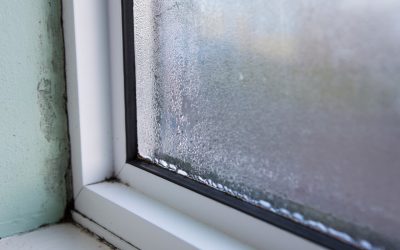 5 Signs of Mold Growth in a Home