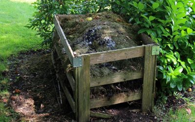 6 Tips for Composting at Home
